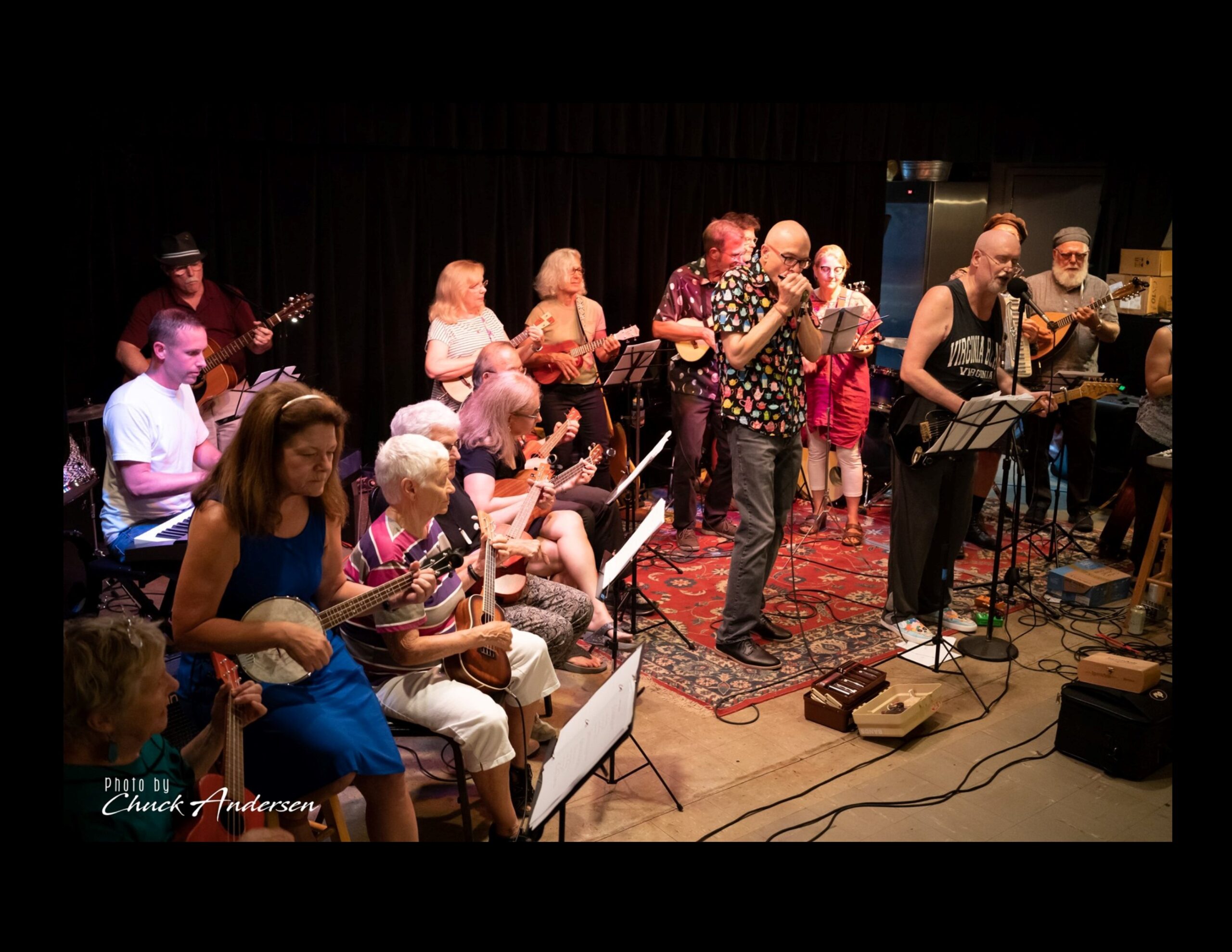UKES & BLUES featuring Brain Plasticity Ukulele Collective & BLUESHOUSE!