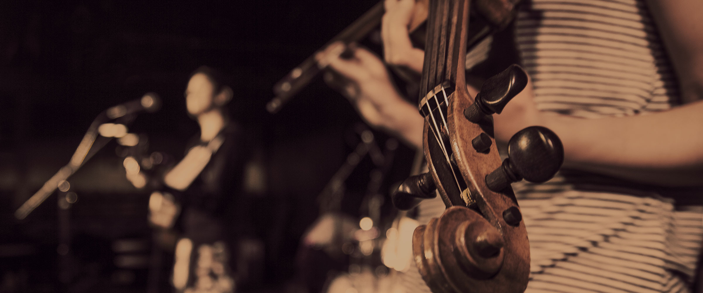 violin